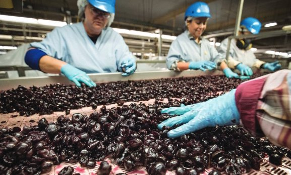 Collection of Industrial Wastewater Treatment - Oregon Cherry Growers (Cherries, Pears, and Hazelnuts) in a gallery layout